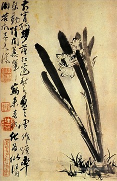 Shitao les jonquilles 1694 vieille encre de Chine Peinture à l'huile